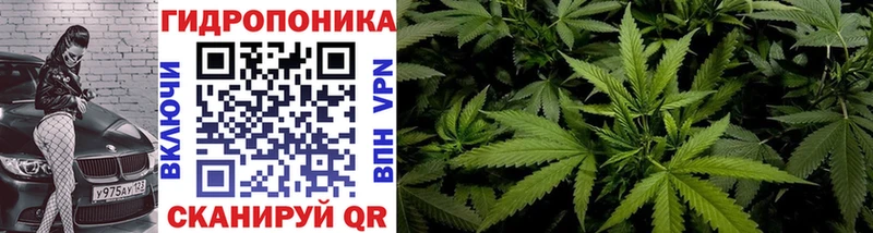 Купить закладку Кокаин  МЕФ  Галлюциногенные грибы  A PVP  Марихуана  ТГК  ГАШИШ  Яранск